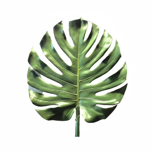 Silk-ka Philodendron Blatt