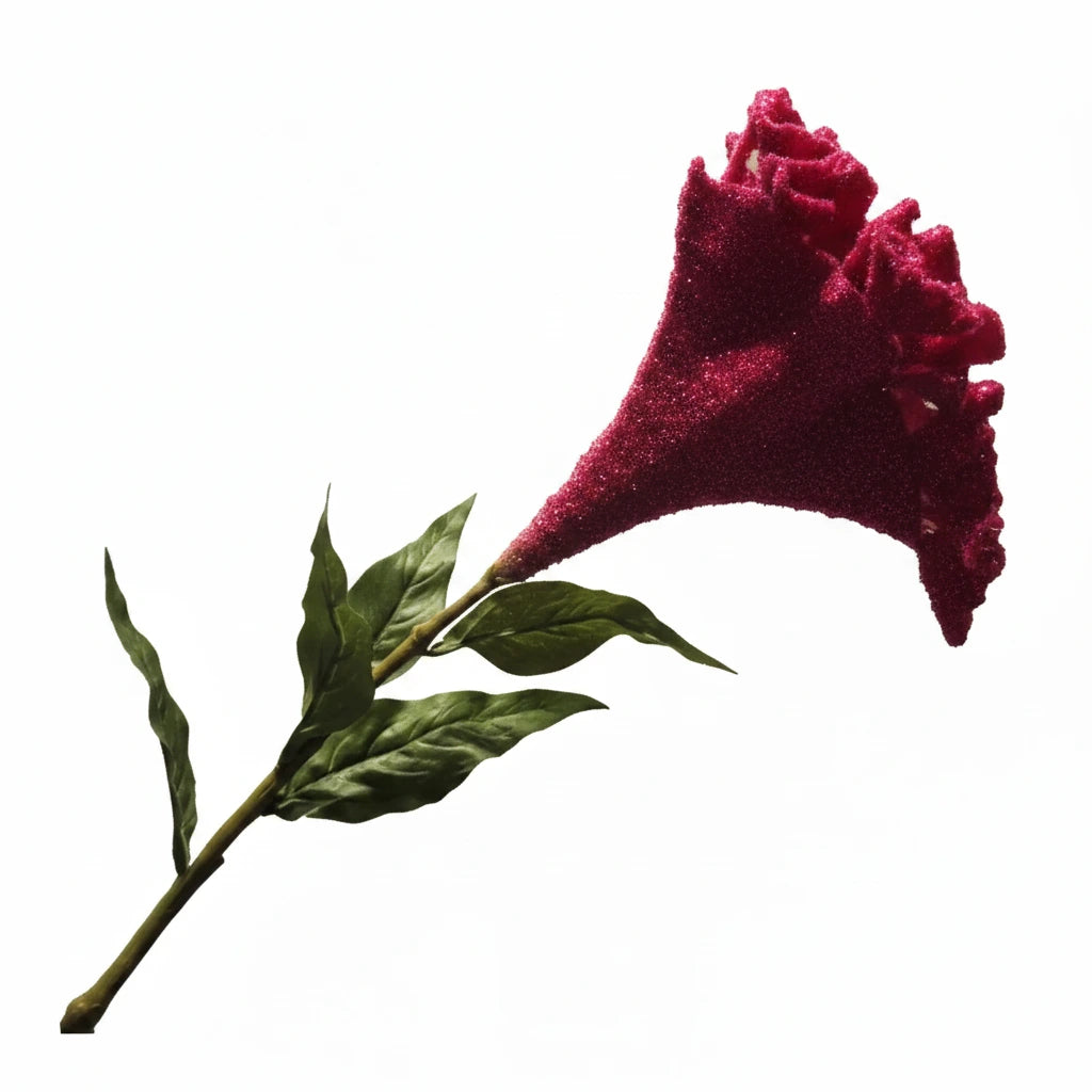 Silk-ka Amaranthus