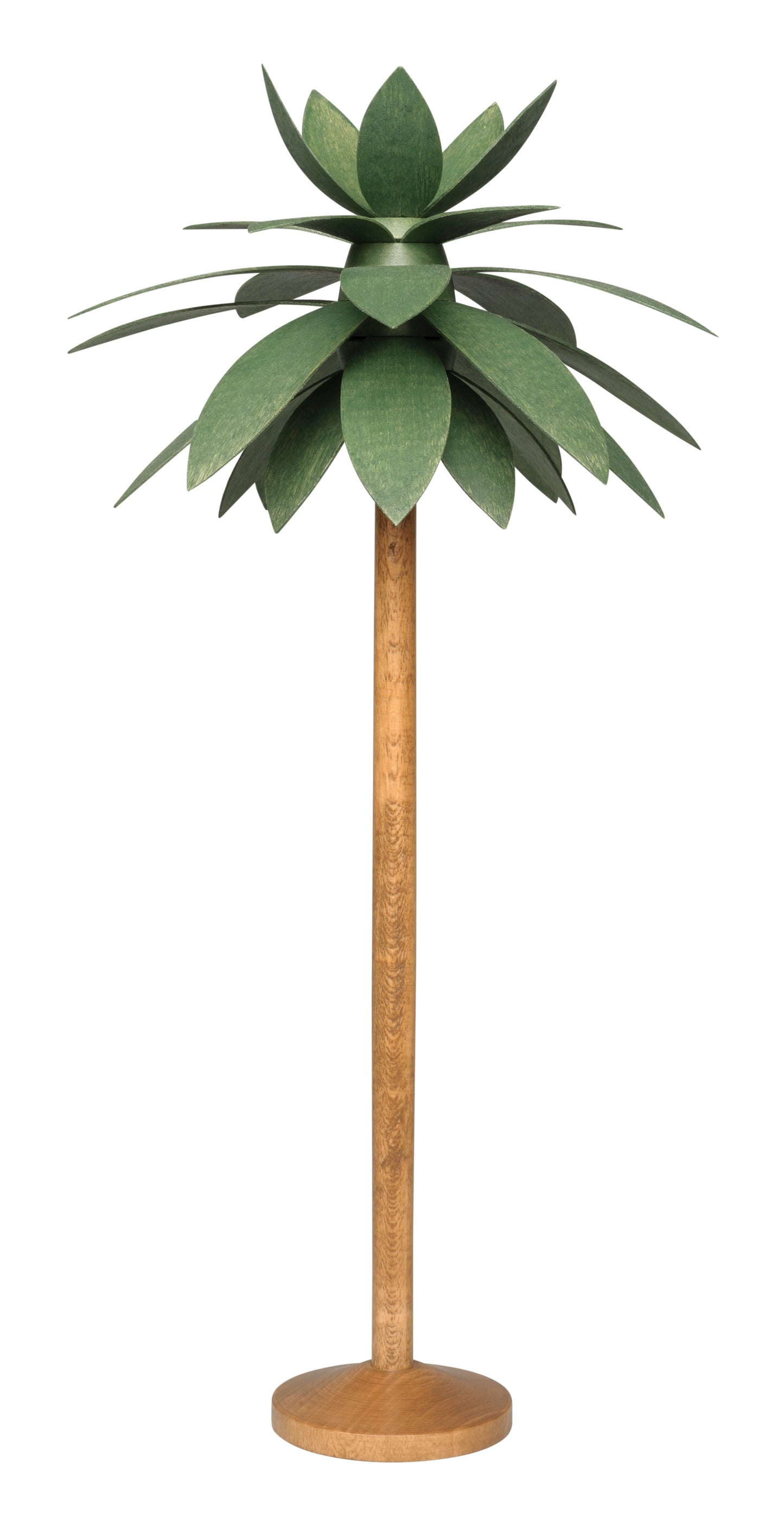 Wendt & Kühn Palme,groß