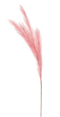 INGE-GLAS Pampasgras 80cm hellrosa