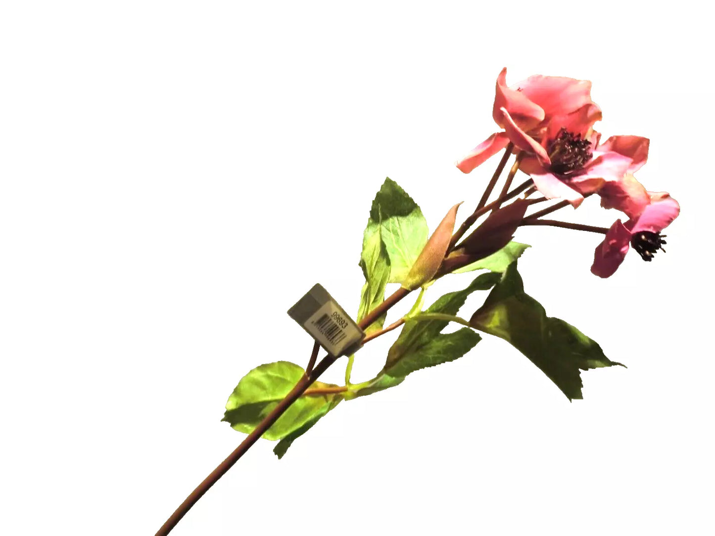 Silk-ka Helleborus pink