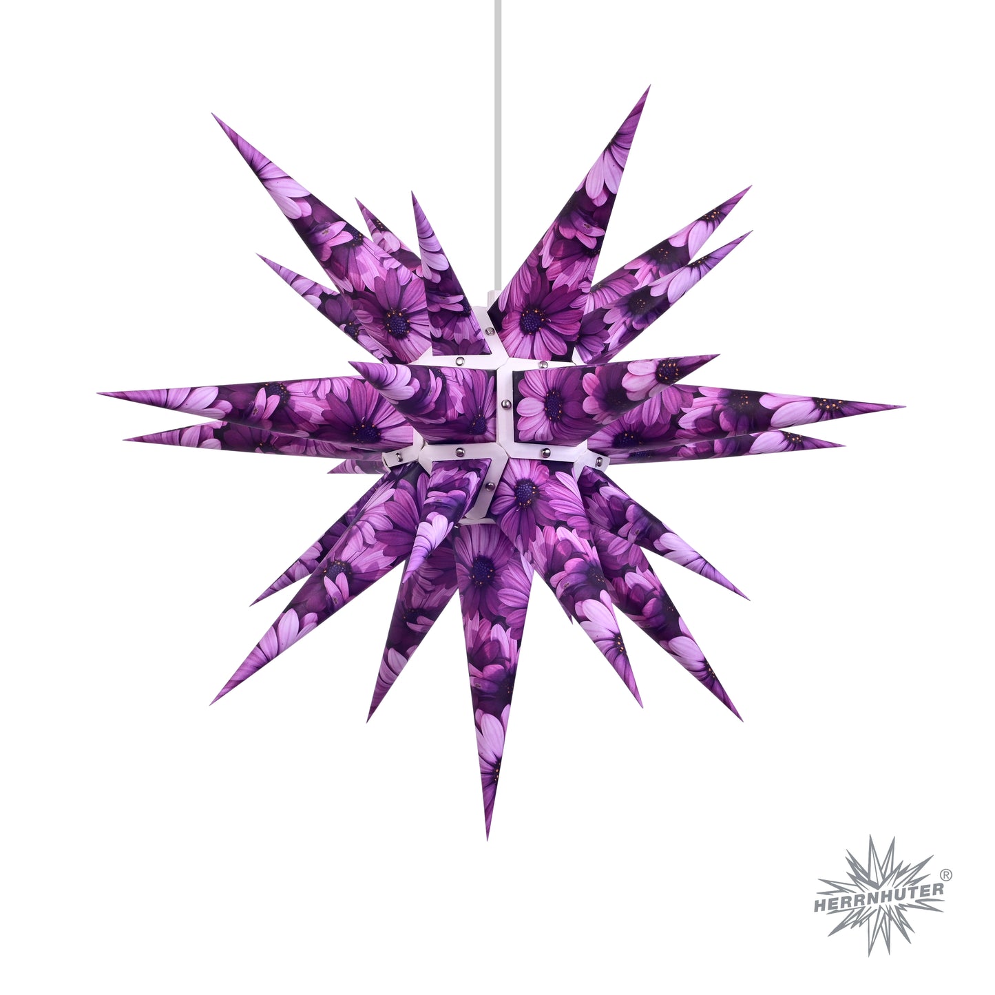 Herrnhuter Sterne – Stern I6 aus Papier Sonderedition Natur „Kapmargerite“