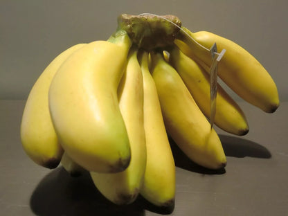 Silk-ka Obst/Gemüse