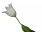 Silk-ka Tulpen – Hochwertige Kunsttulpen