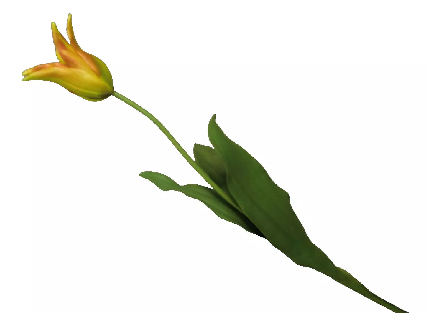 Silk-ka Tulpen – Hochwertige Kunsttulpen