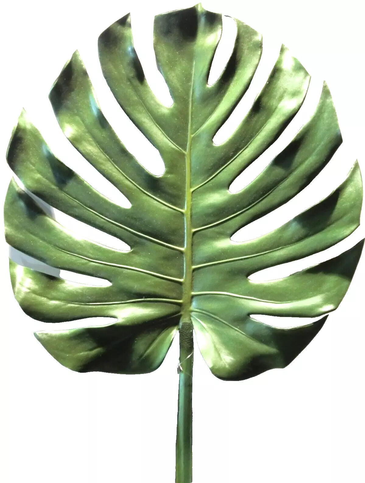Silk-ka Philodendron Blatt