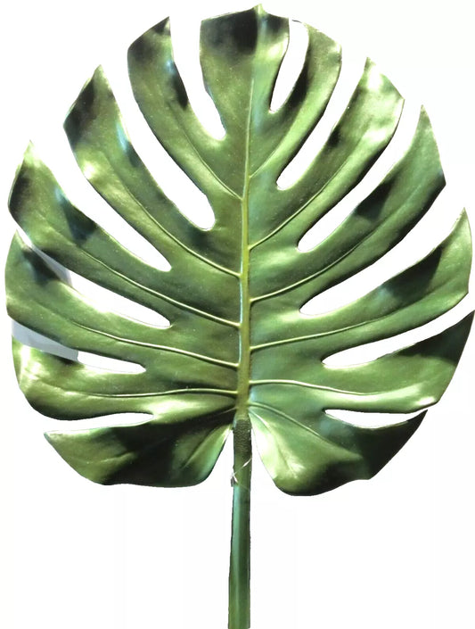 Silk-ka Philodendron Blatt