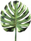 Silk-ka Philodendron Blatt