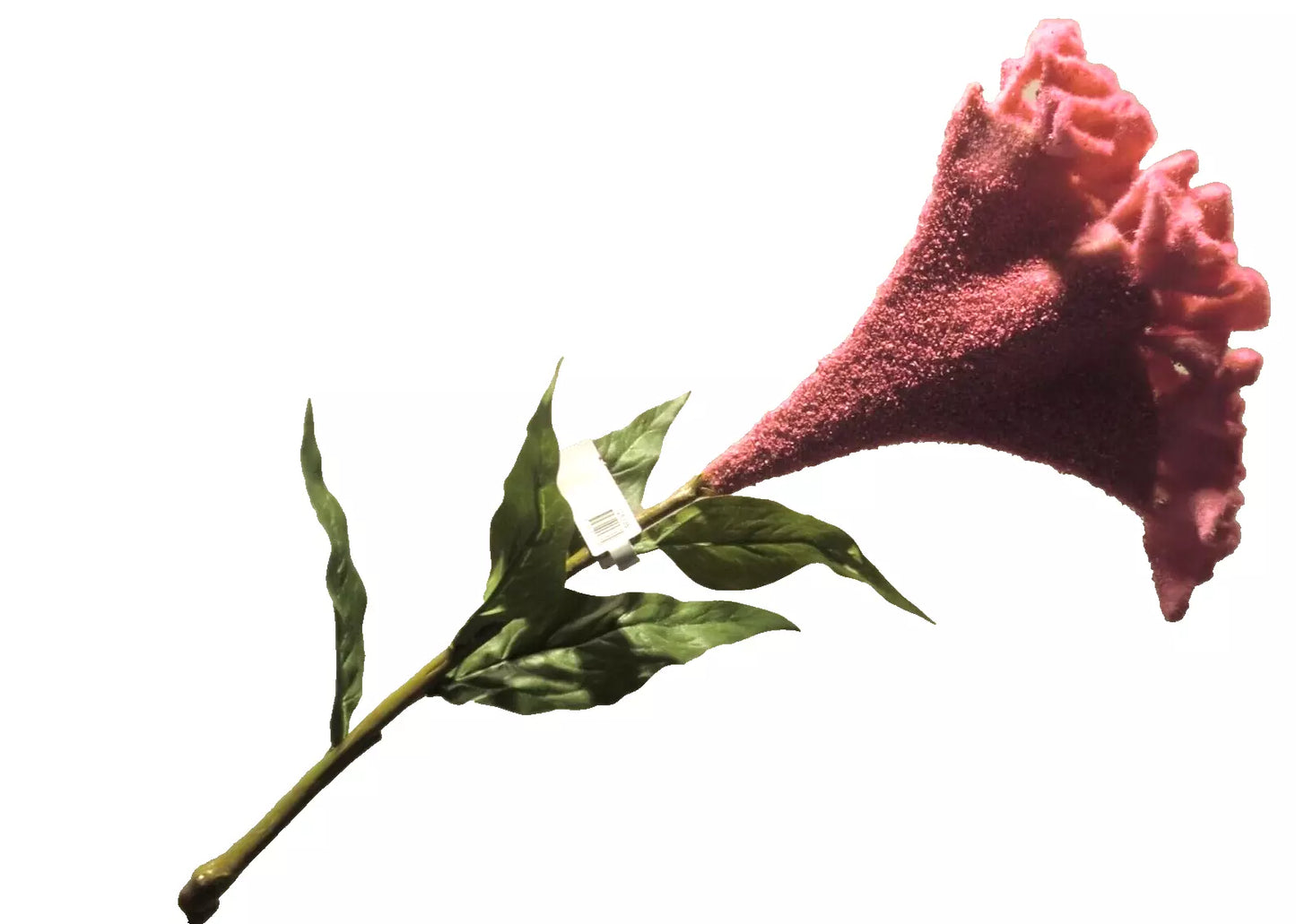 Silk-ka Amaranthus