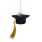 Vondels Glasornament Black Matt Graduation H6cm