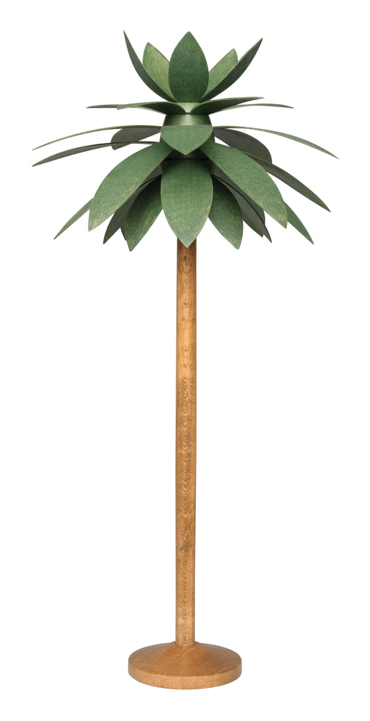 Wendt & Kühn Palme,groß