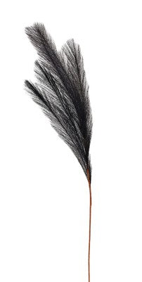 INGE-GLAS Pampasgras 80cm schwarz
