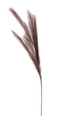 INGE-GLAS Pampasgras 80cm  dunkelbraun