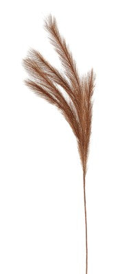 INGE-GLAS Pampasgras 80cm hellbraun