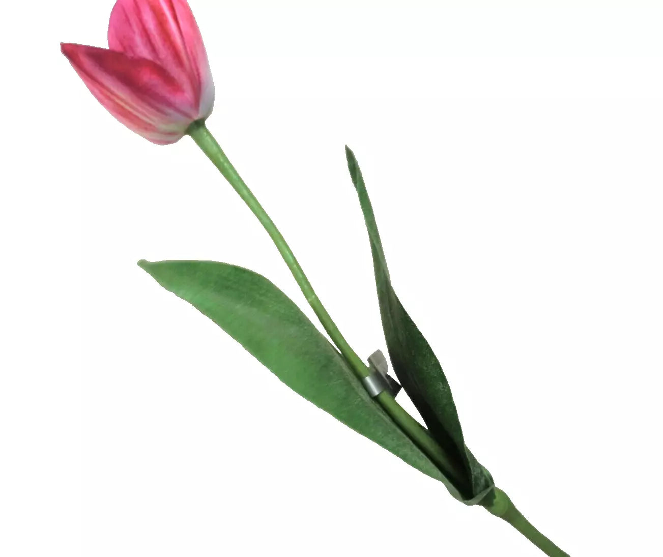 Silk-ka Tulpen – Hochwertige Kunsttulpen