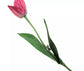 Silk-ka Tulpen – Hochwertige Kunsttulpen